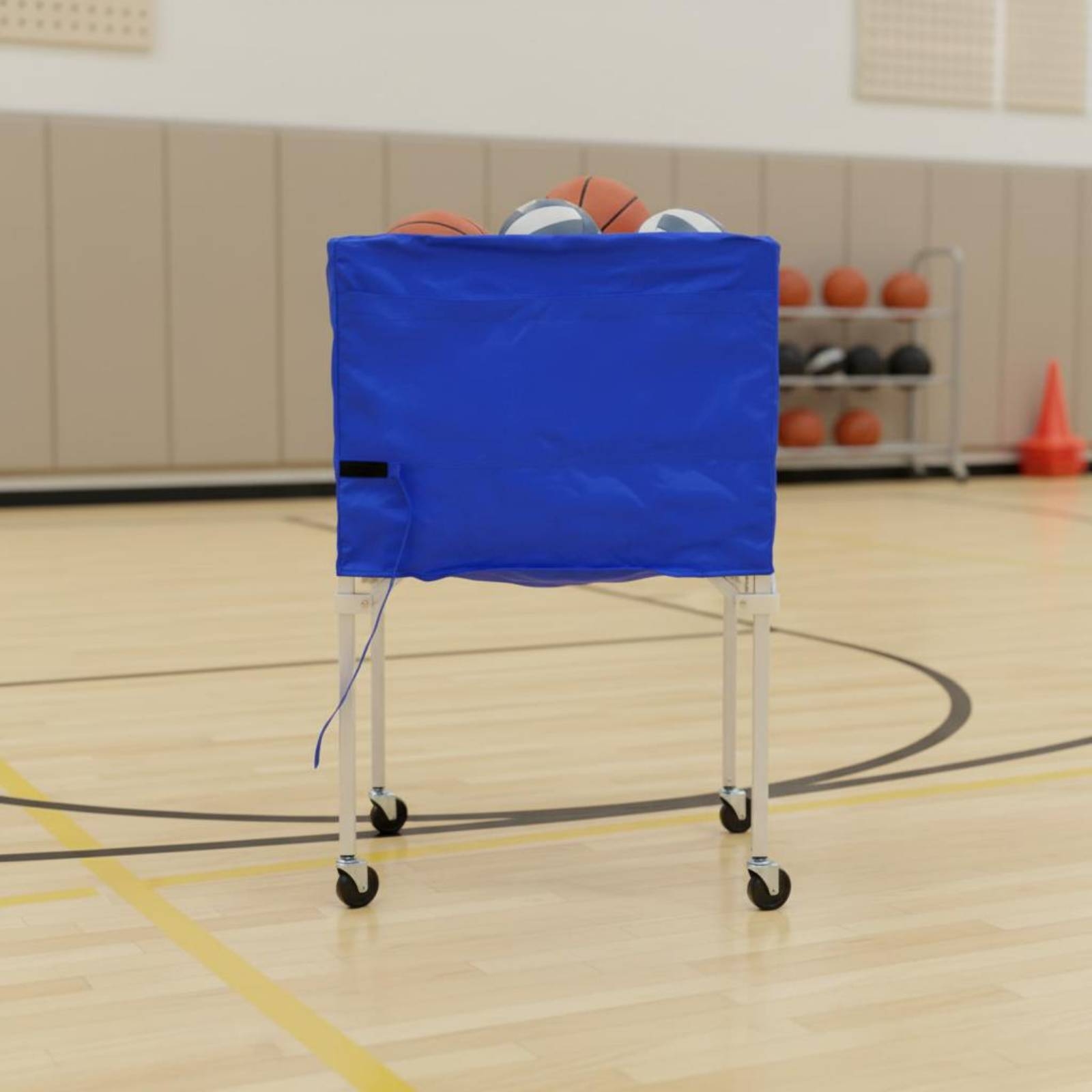 Foldable Ball Trolley Multi-Sp - Gym Ball recension och pris